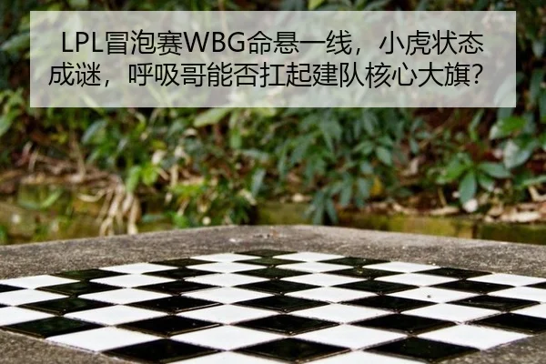 mao-pao-sai-ming-xuan-yi-xian-xiao-hu-zhuang-tai-cheng-mi-hu-xi-ge-neng-fou-kang-qi-jian-dui-he-xin-da-qi-3-555.jpg