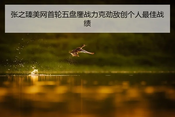张之臻美网首轮五盘鏖战力克劲敌创个人最佳战绩