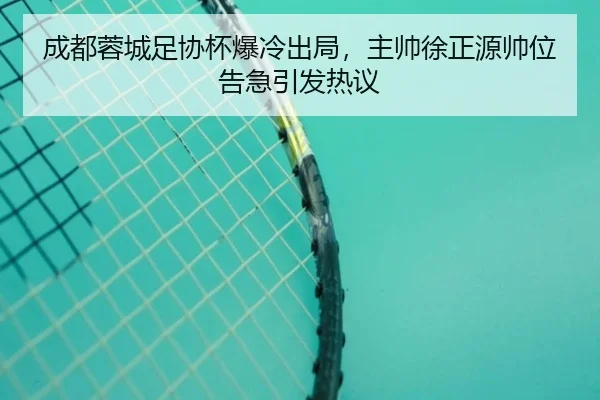 cheng-du-rong-cheng-zu-xie-bei-bao-leng-chu-ju-zhu-shuai-xu-zheng-yuan-shuai-wei-gao-ji-yin-fa-re-yi-3-844.jpg