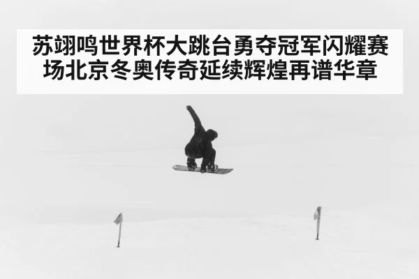 苏翊鸣世界杯大跳台勇夺冠军闪耀赛场北京冬奥传奇延续辉煌再谱华章